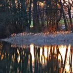 Abend am Herthasee