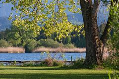 Abend am Hopfensee...