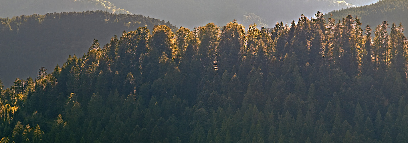 Abend am Hornkopf