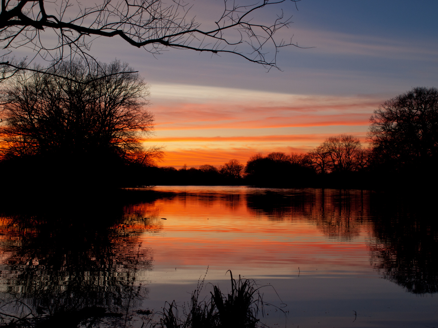 Abend am Kühnauer See