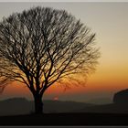 Abend am "Kugelbaum"