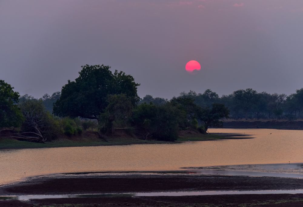 Abend am Luangwa