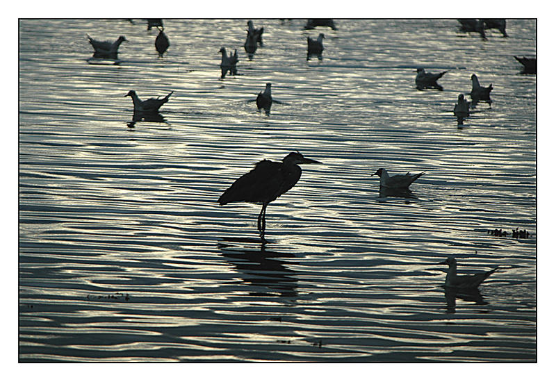 Abend am Meer