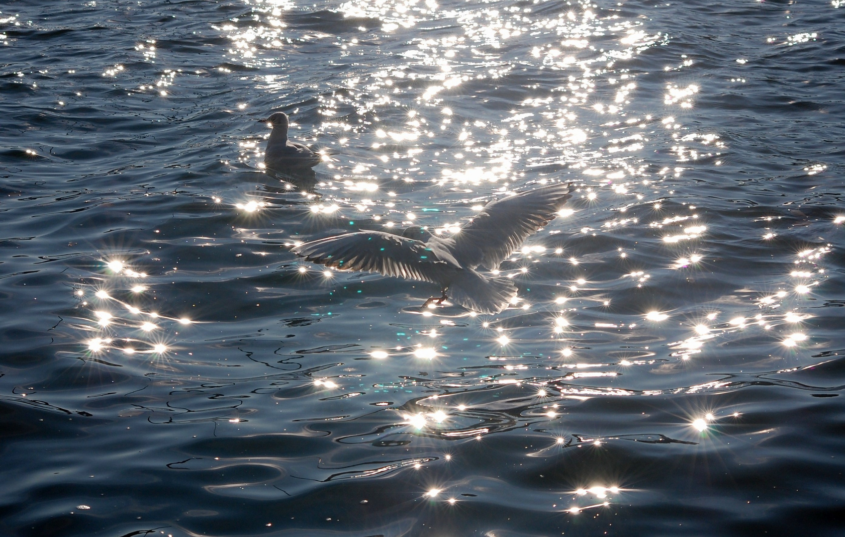 Abend am Meer