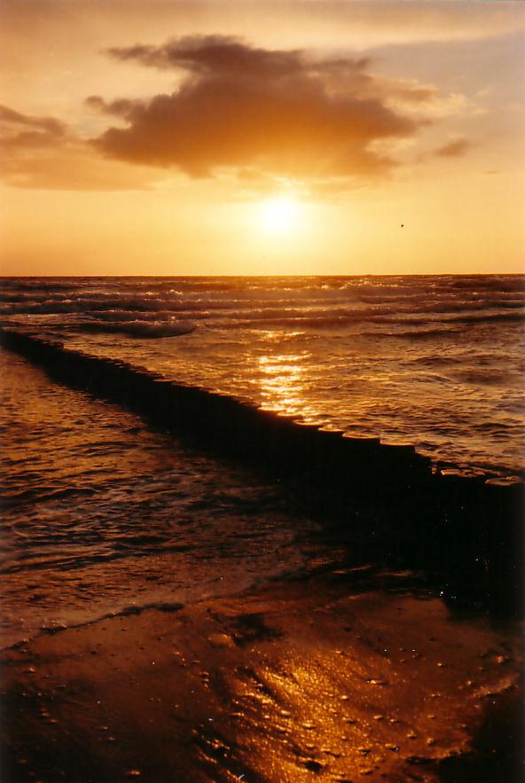 Abend am Meer/Hiddensee