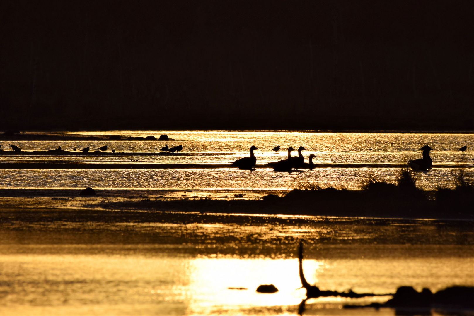 Abend am Moorsee