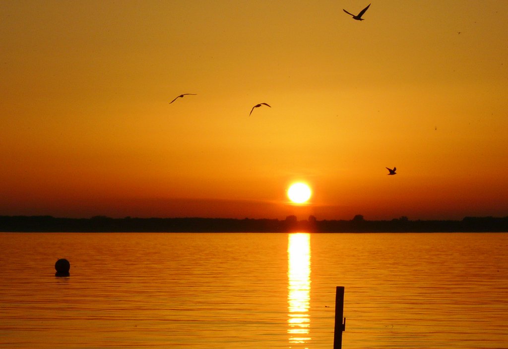 Abend am Müggelsee