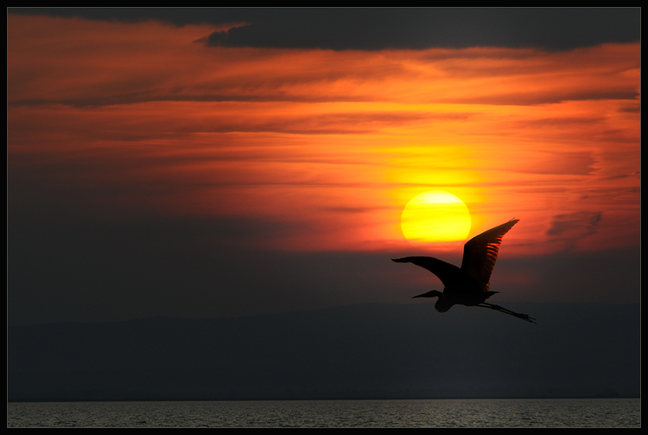 Abend am Neusiedlersee