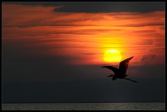 Abend am Neusiedlersee