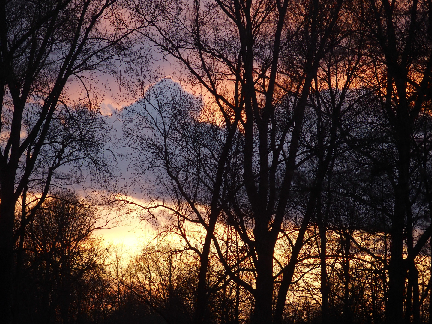 Abend am Niederrhein