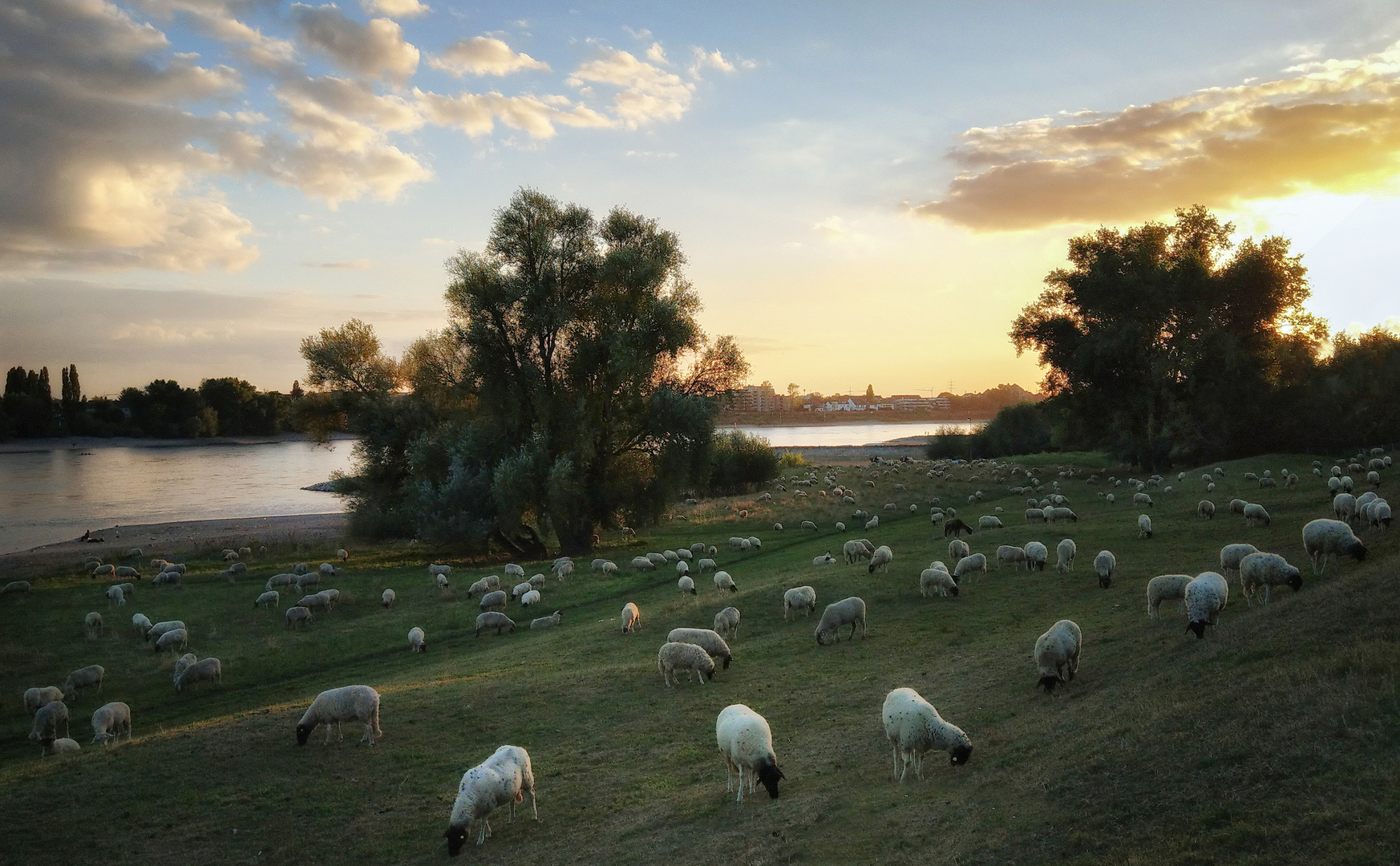 Abend am Niederrhein