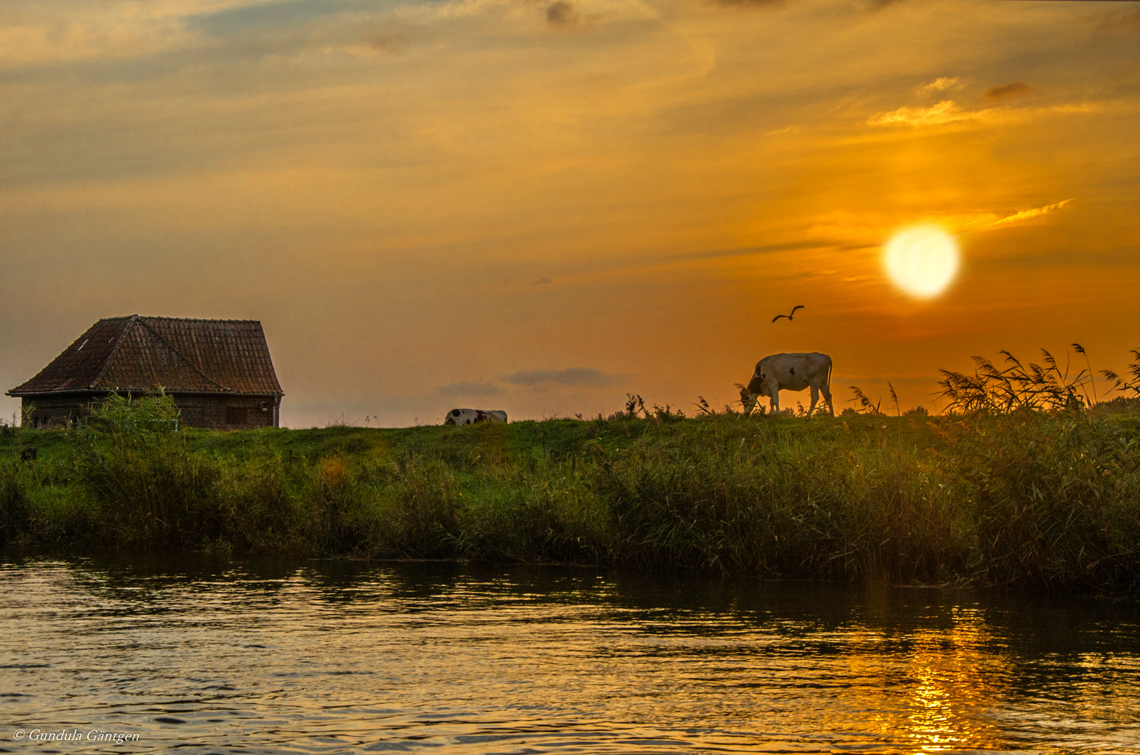 Abend am Ostedeich II