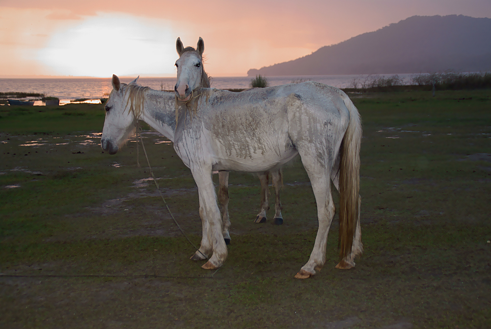 Abend am Petén-Itzá-See