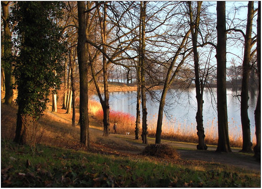 Abend am Petzower Haussee