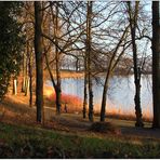 Abend am Petzower Haussee