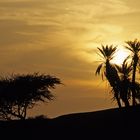 Abend am Rand der Wüste