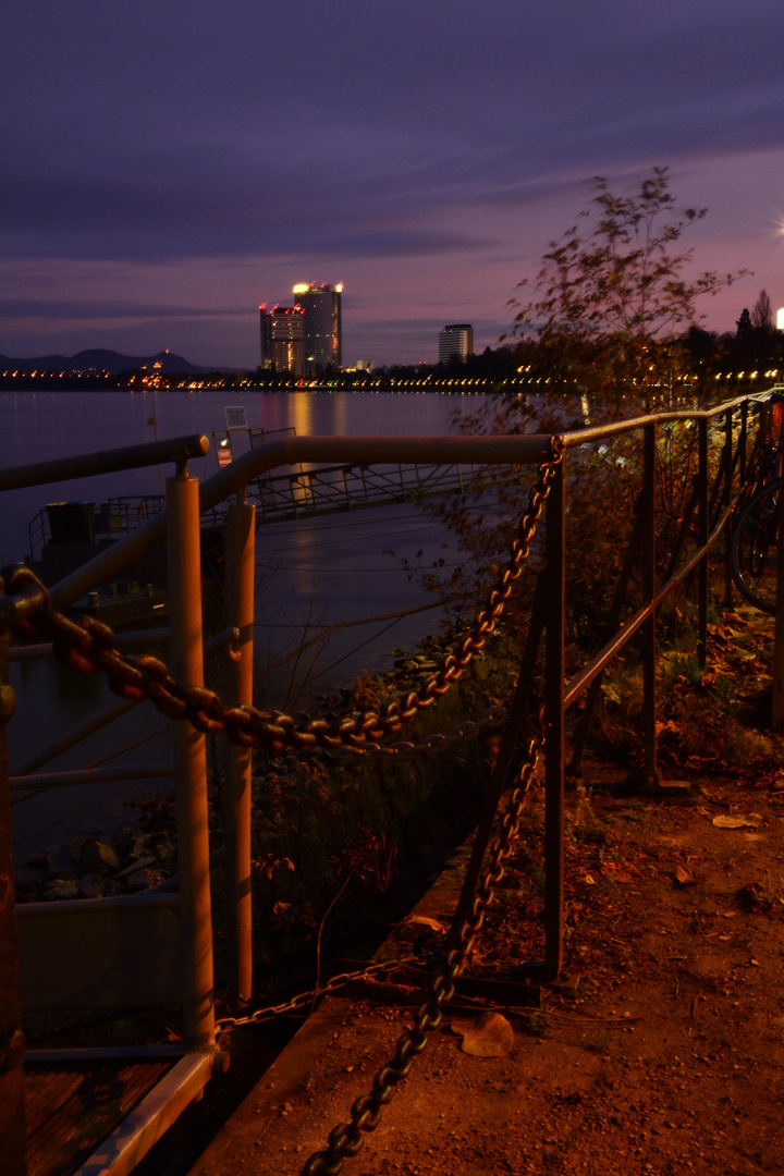 Abend am Rhein