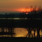 Abend am Rhein