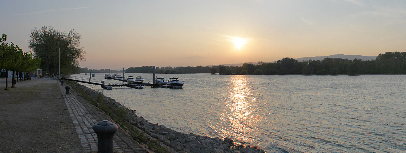 Abend am Rhein