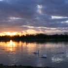 Abend am Rhein