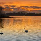 Abend am Rhein bei Rastatt