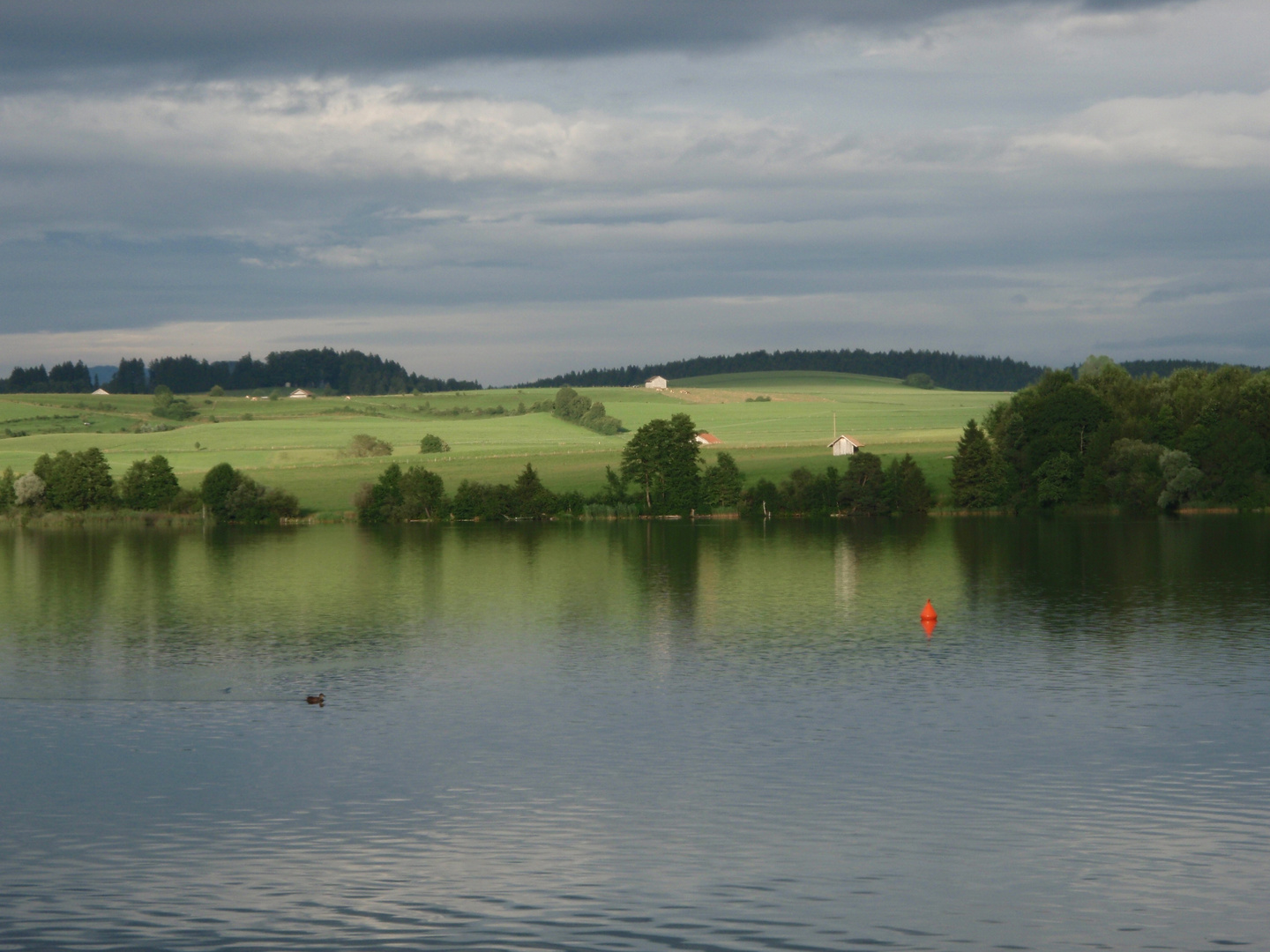 Abend am Rieksee