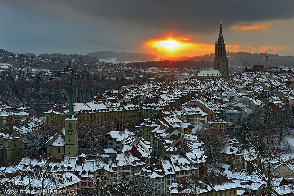 Abend am Rosengarten