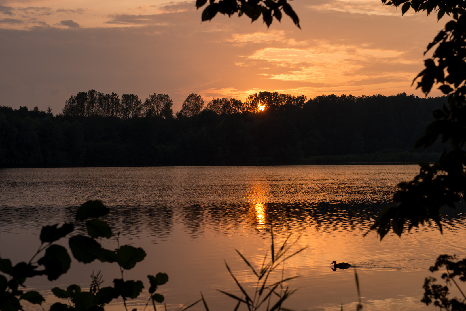 Abend am Rubbenbruchsee