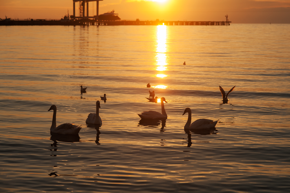 Abend am Schwarzen Meer