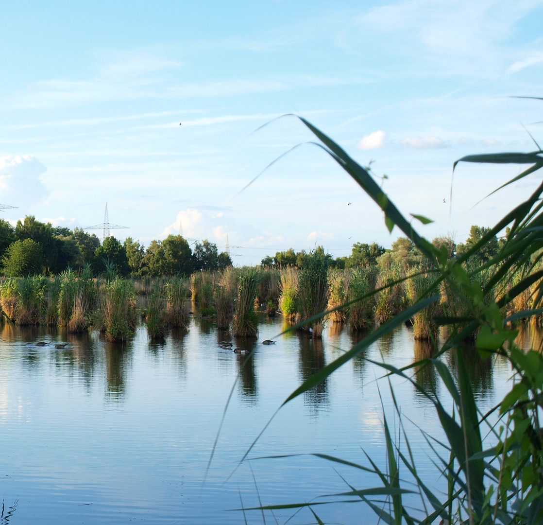 Abend am See