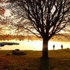 Abend am See