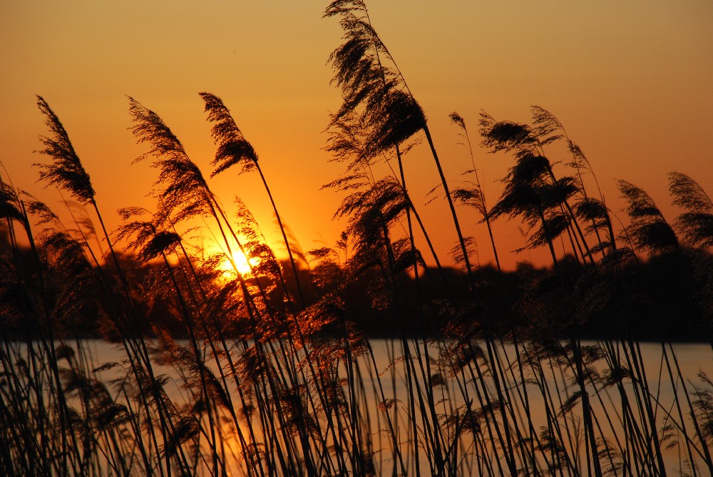 Abend am See