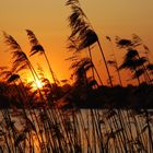 Abend am See