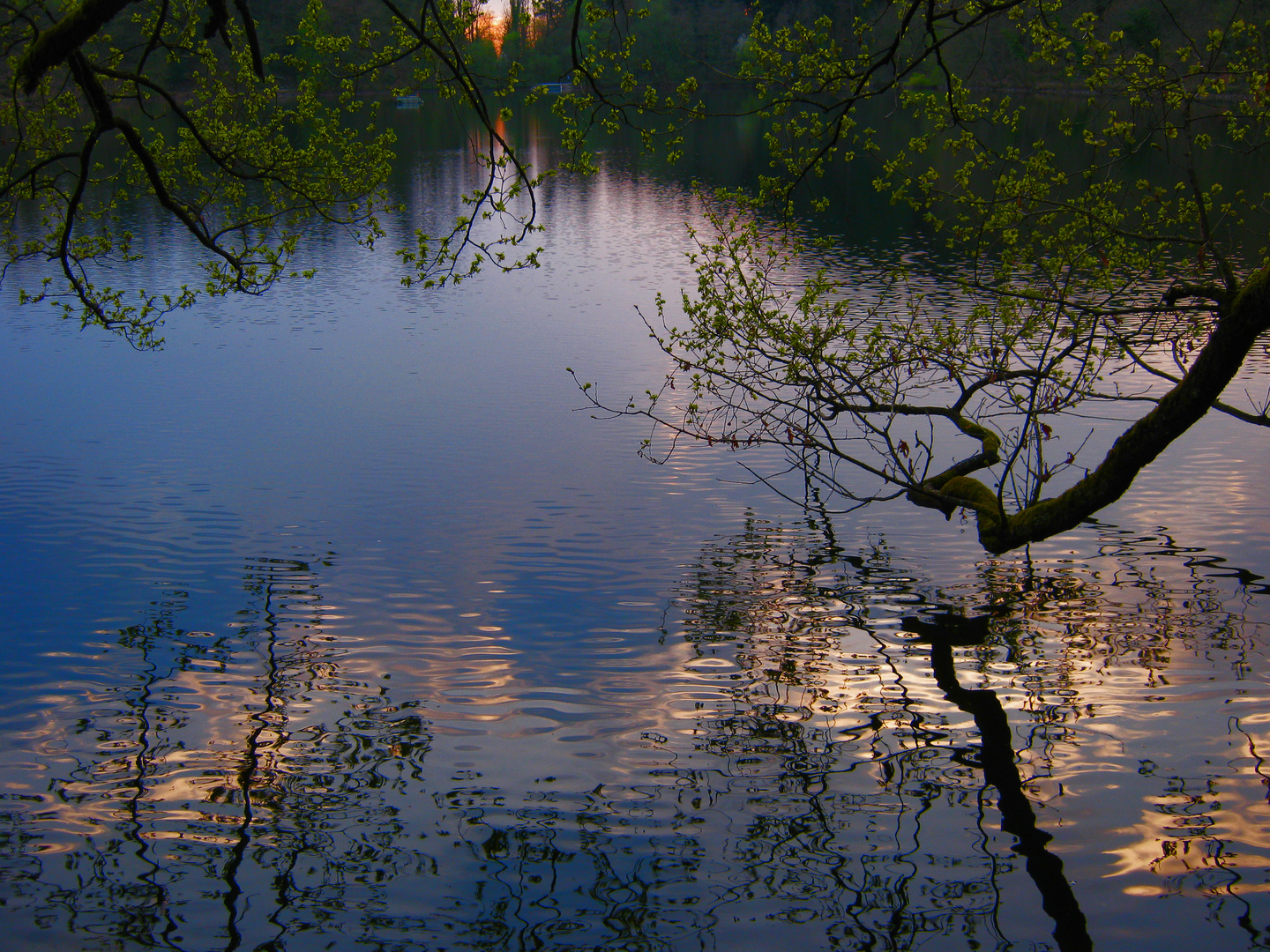 Abend am See