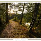 Abend am See