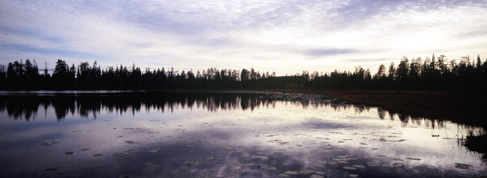 Abend am See von Max Schlorff 