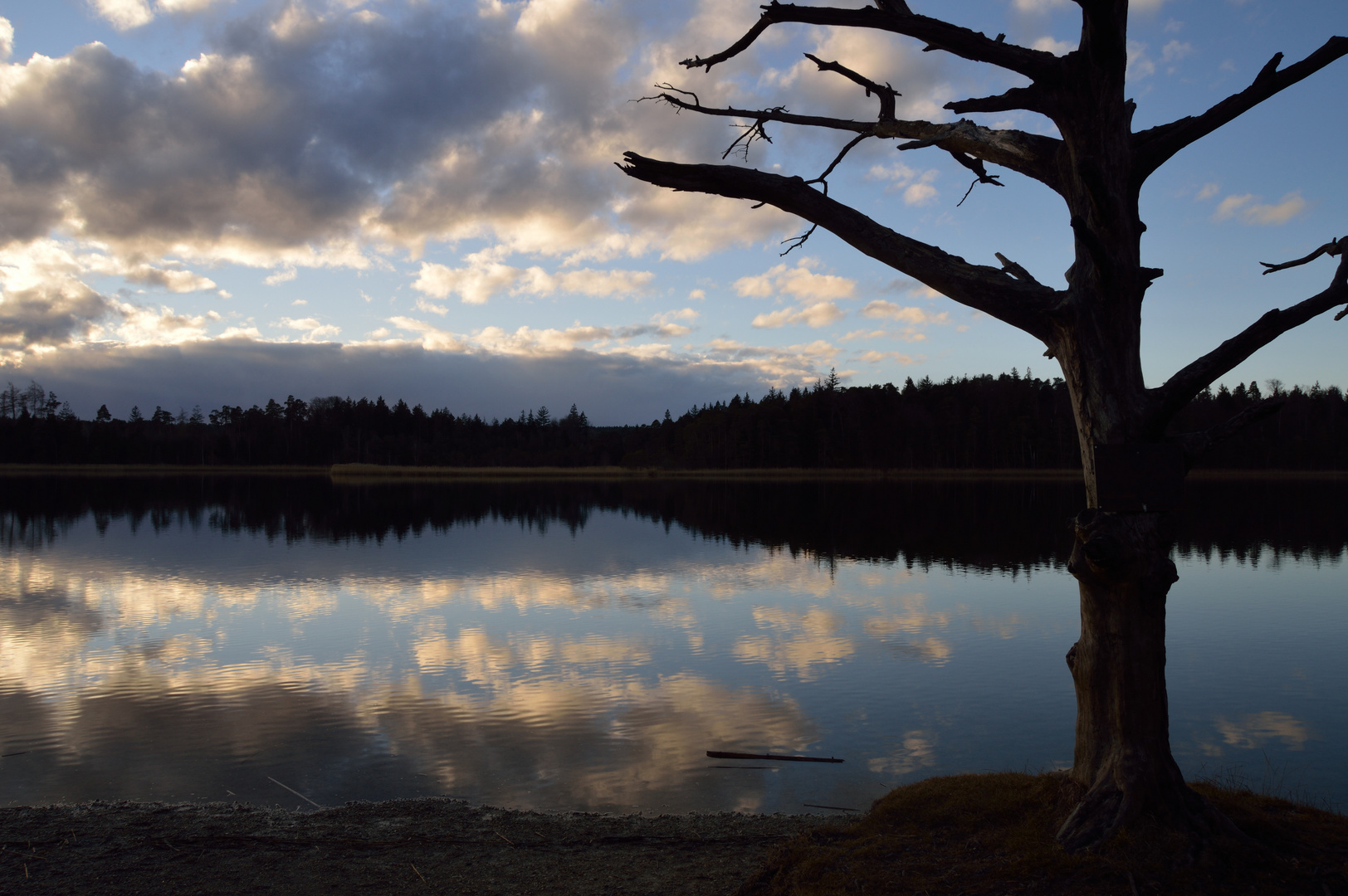 Abend am See