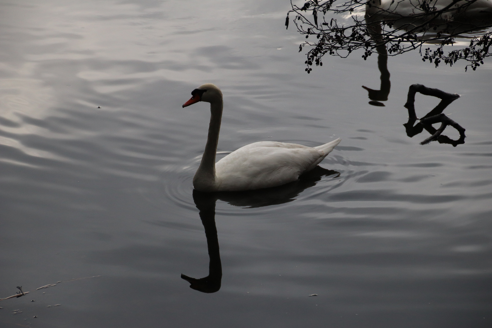 Abend am See...