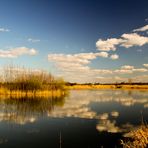 Abend am See ......