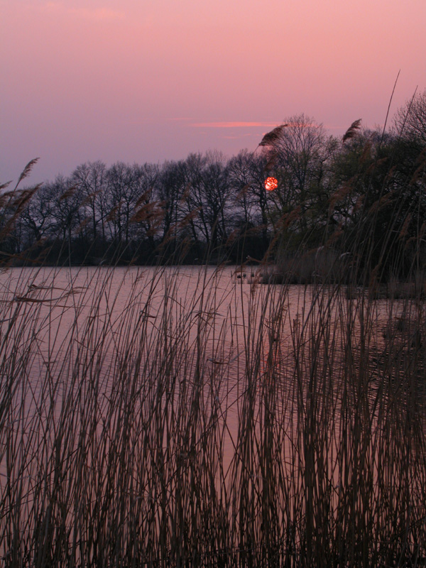 Abend am See