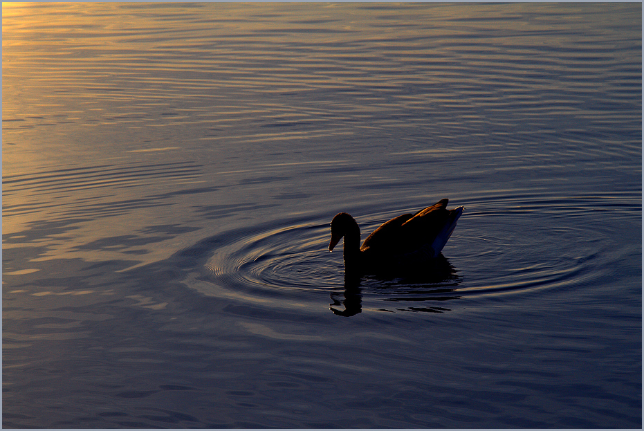 ... Abend am See ...