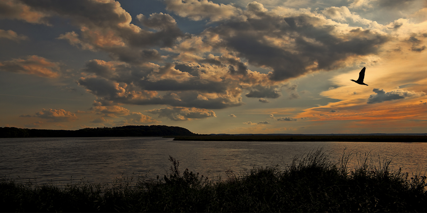 ABEND am SEE