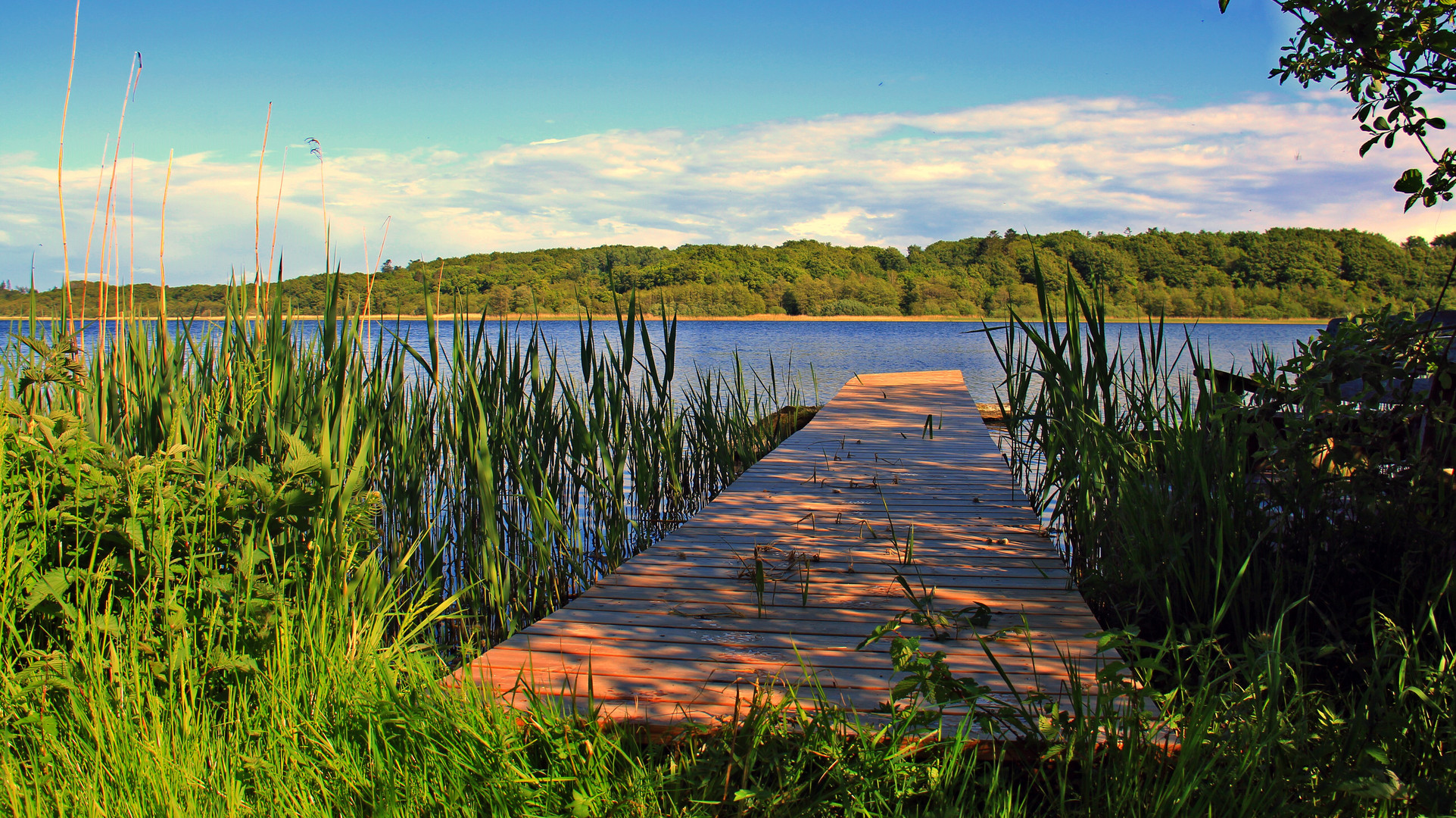 Abend am See