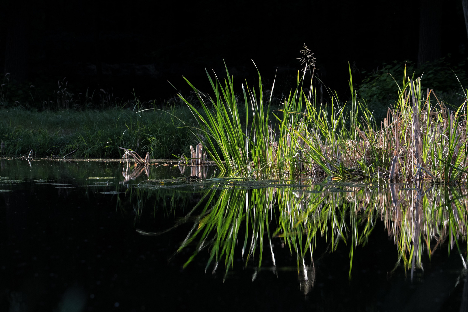 Abend am See