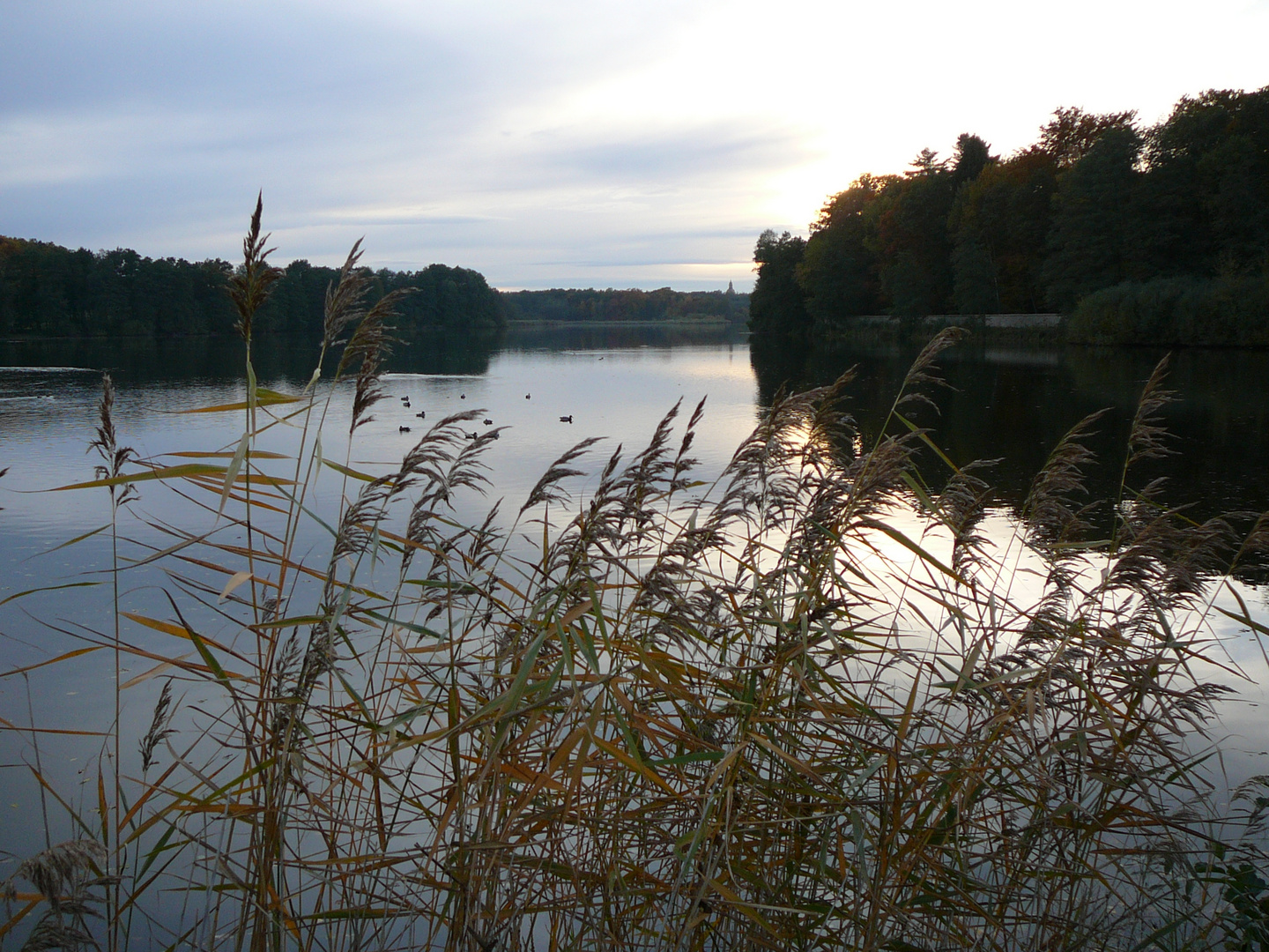 Abend am See