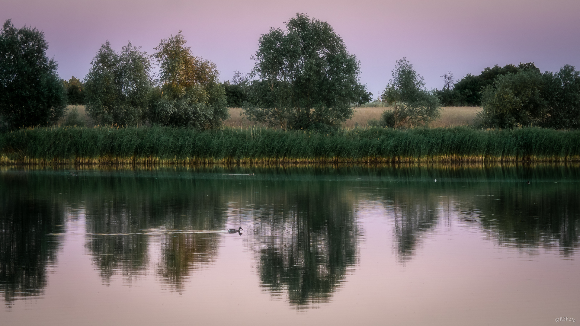 Abend am See