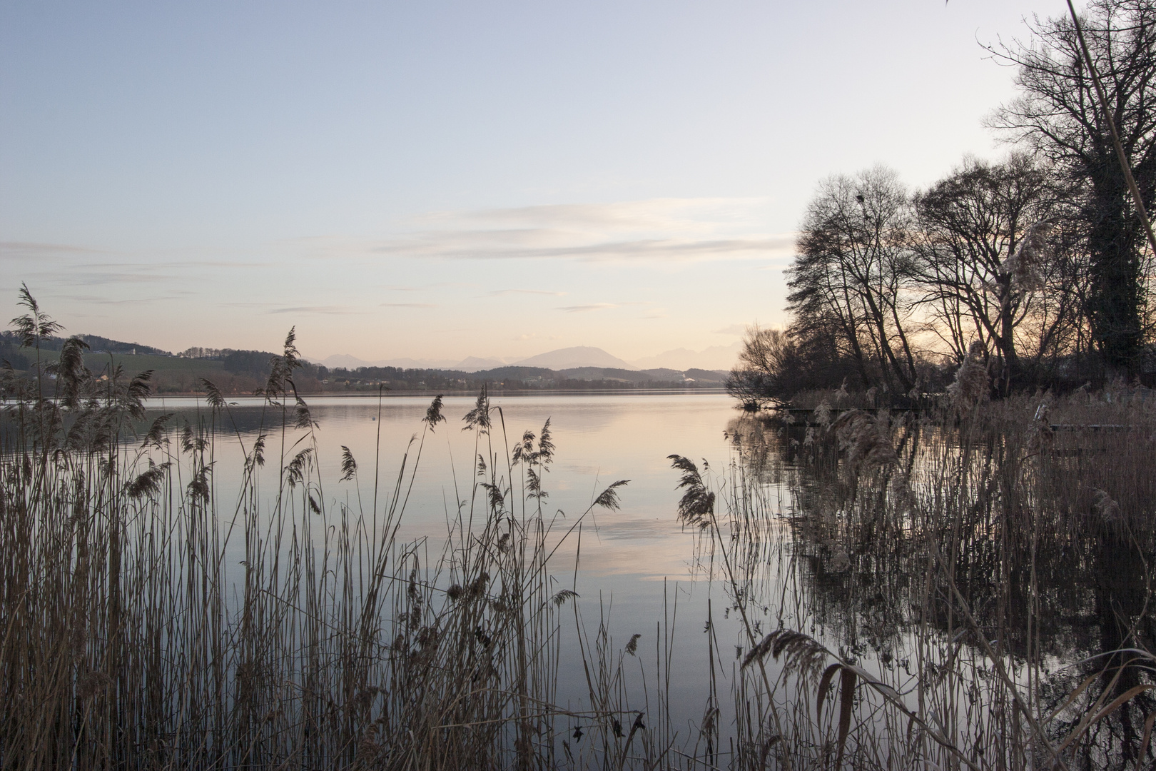 Abend am See II