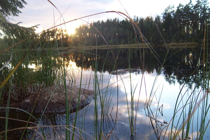 Abend am See II