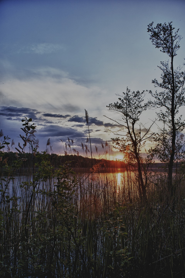 Abend am See II