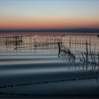 Abend am See im Albufera Naturpark